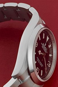 RolexExplorer