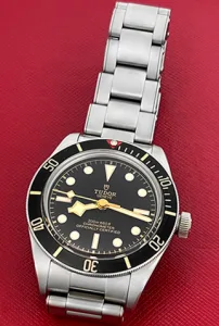 TudorBlack Bay 58