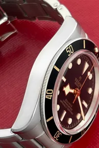 TudorBlack Bay 58