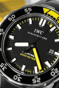 IWCAquatimer 2000