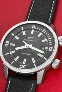 IWCAquatimer