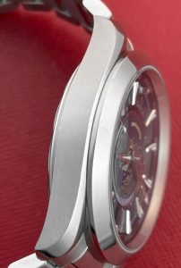 OmegaSeamaster Aqua Terra GMT World